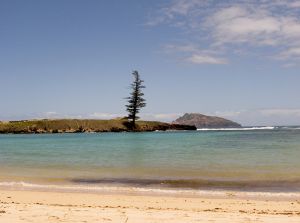 Across Emily Bay, the Lone Pine Stands Tall.